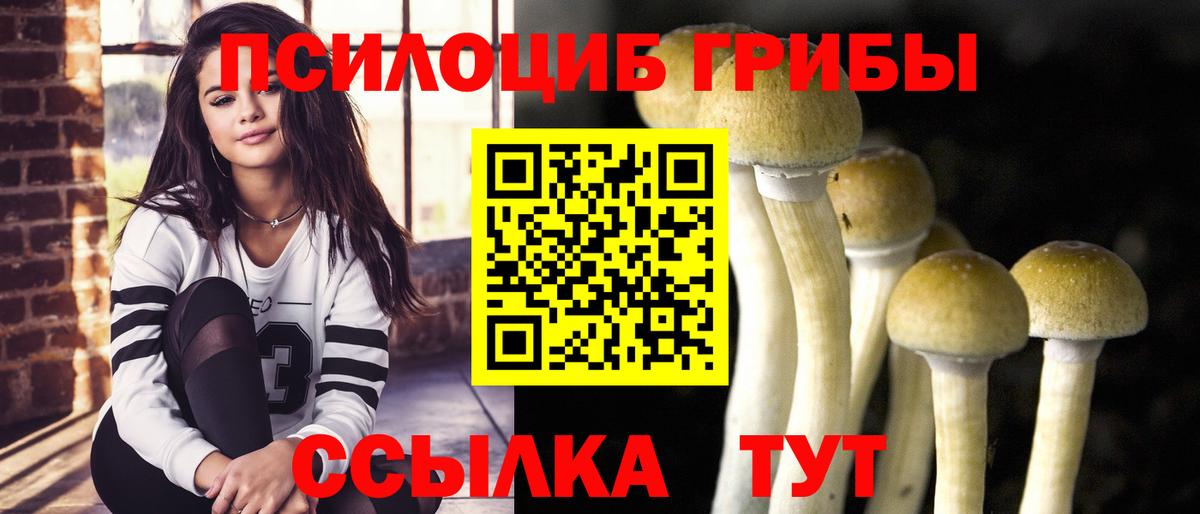 Псилоцибиновые грибы Cubensis  Вход с VPN  Галлюциногенные грибы мицелий  Сердобск 