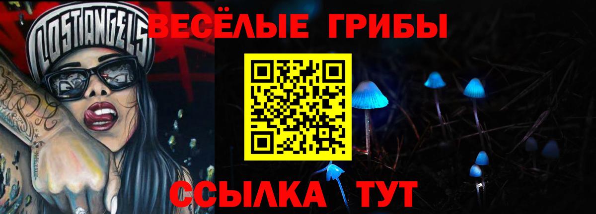 Псилоцибиновые грибы Psilocybe Сердобск